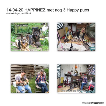 Nog 3 Happy Pups....